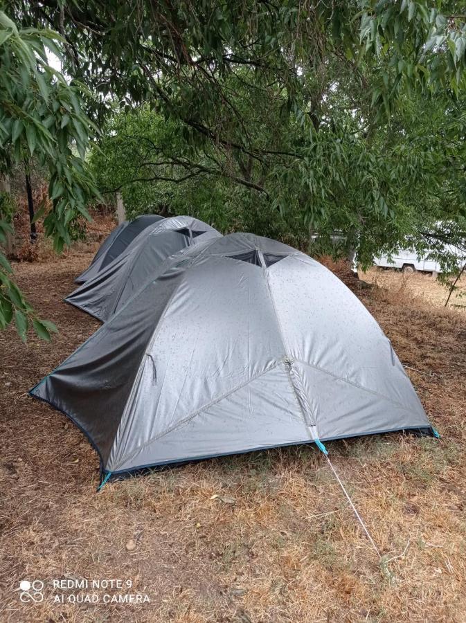 Yaso-guara Camping